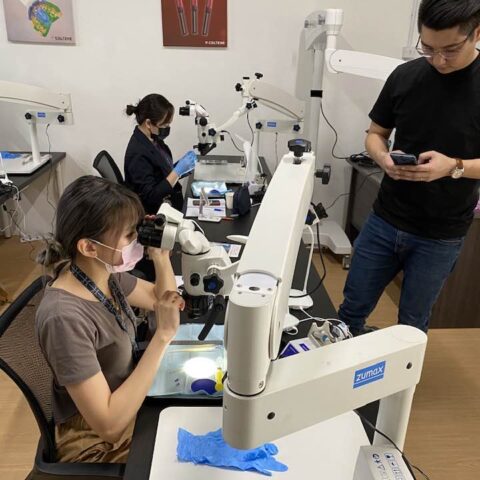 Edi Dental - Zumax Dental Microscope